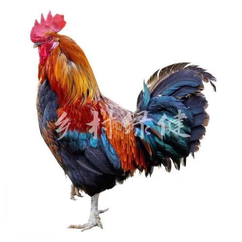 �l(xi��ng)��G���|�����u